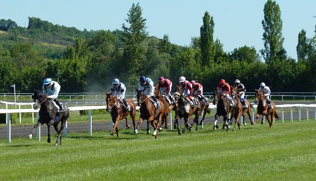 Sports Betting Arbitrage