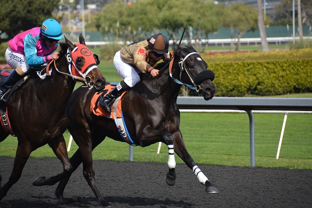 Sports Betting Arbitrage
